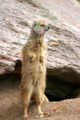 Killikus&reg; Fotographie